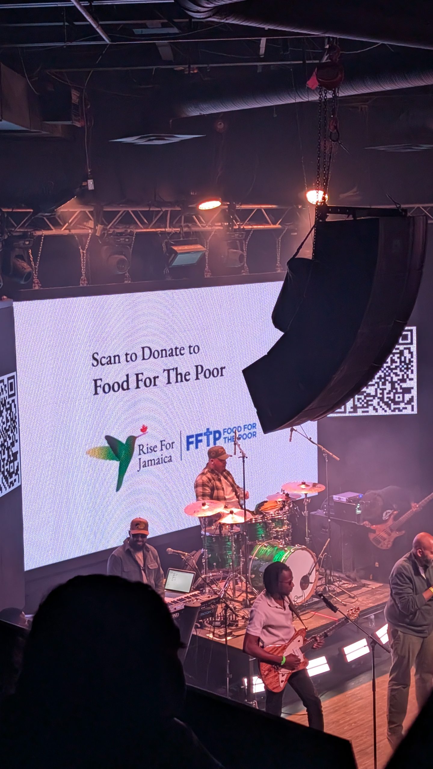 Rise for Jamaica image 1