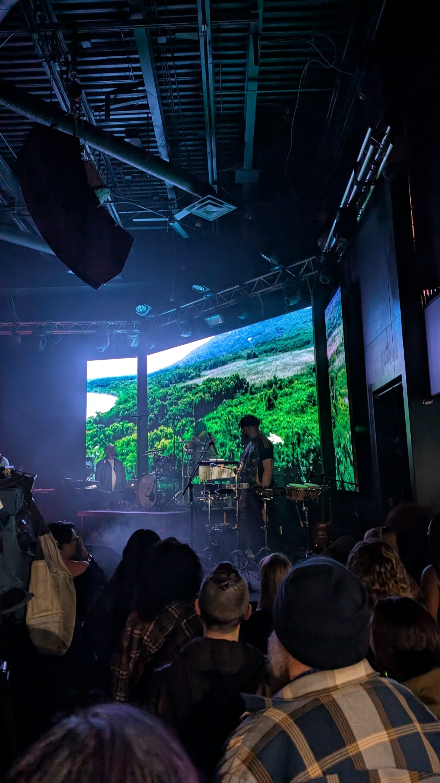 Rise for Jamaica image 8