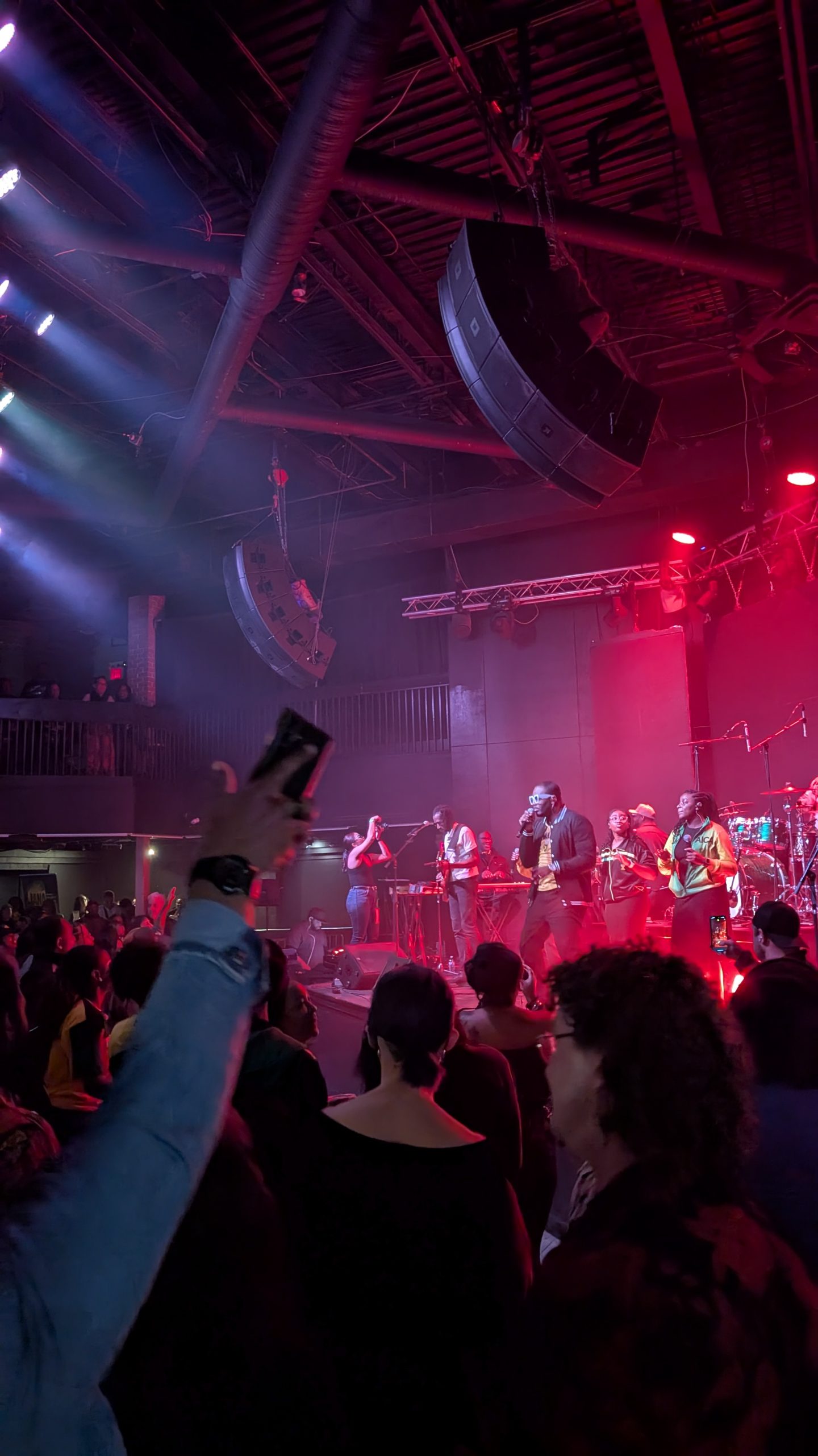 Rise for Jamaica image 7